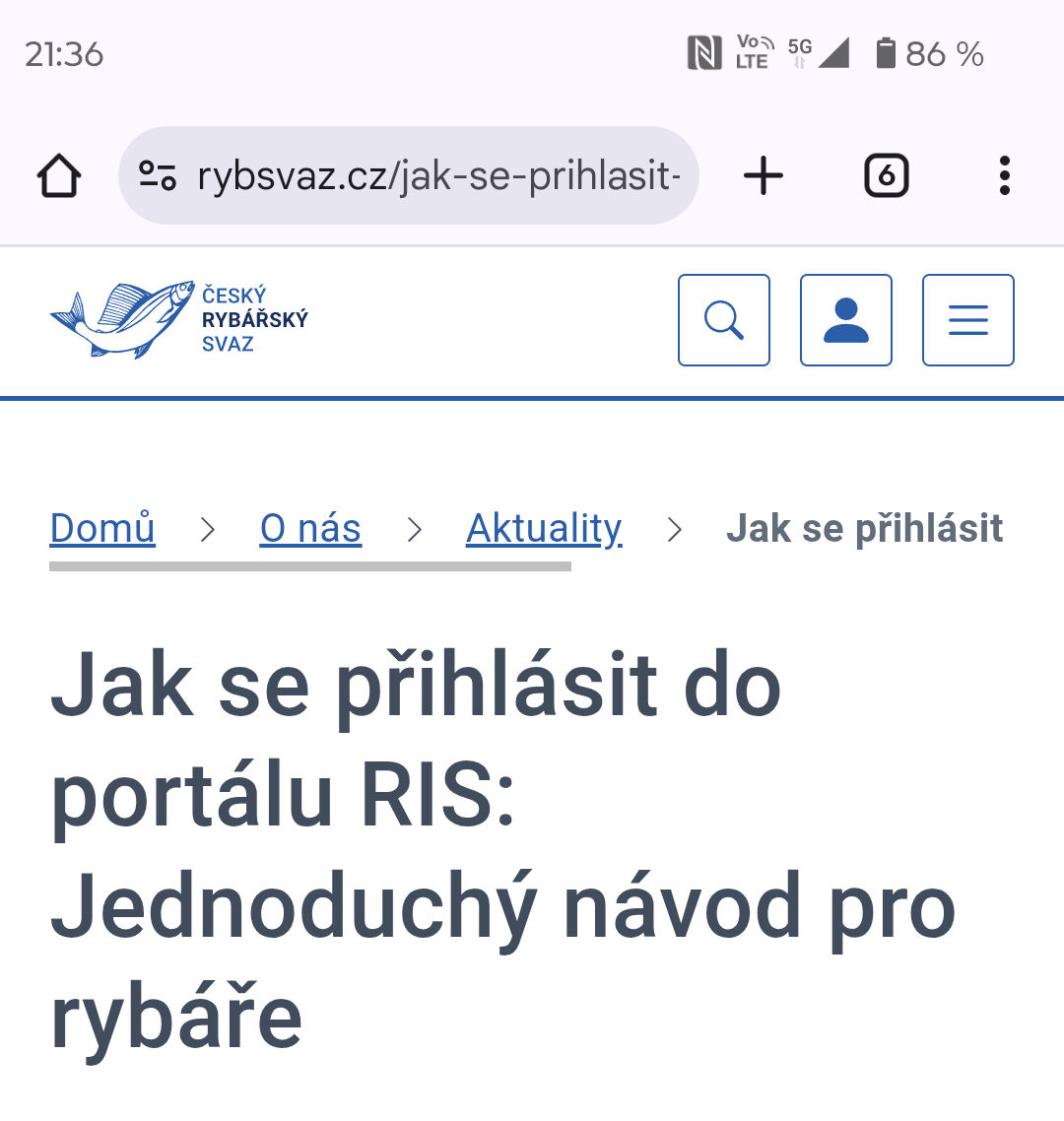 article preview
